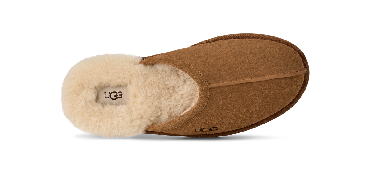 UGG M SCUFF CHESTNUT