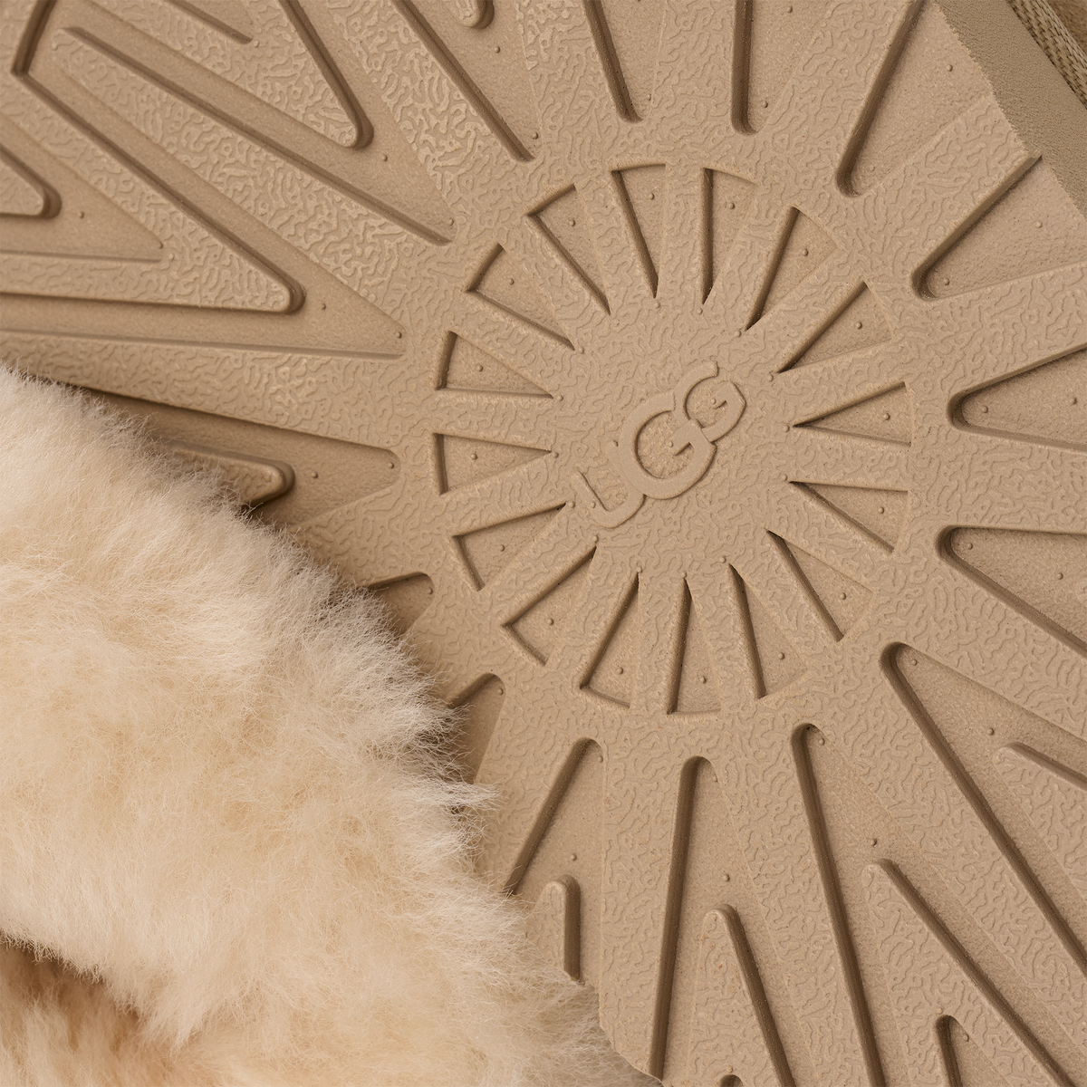 UGG W TAZZELLE MUSTARD SEED