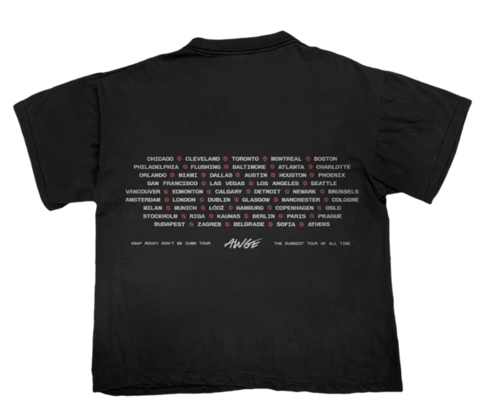 AWGE Don't Be Dumb Black Dateback T-Shirt